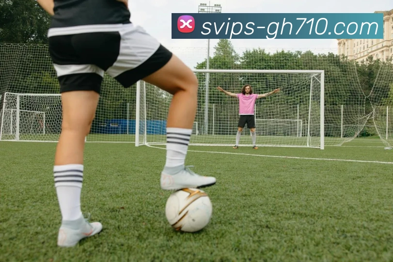 公海710官网平台生态图