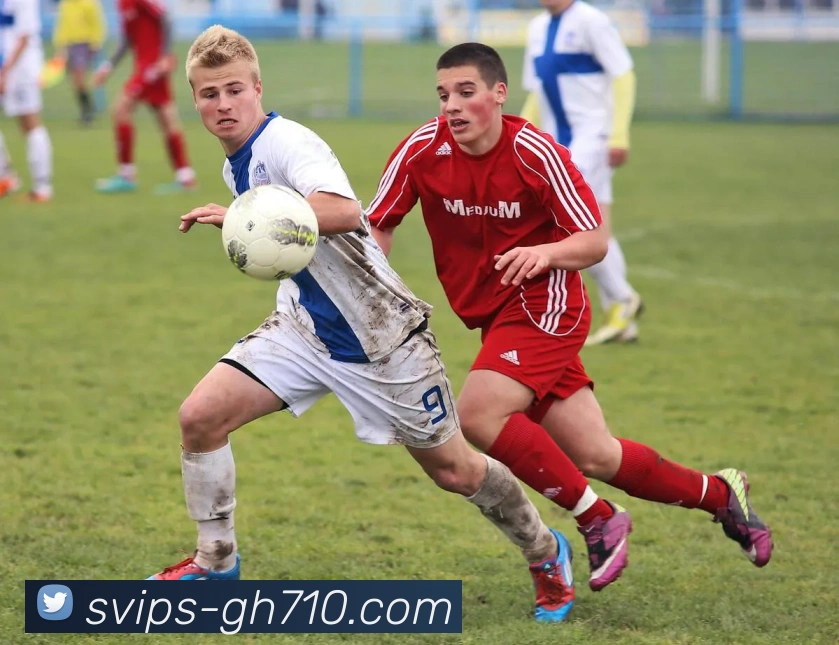 公海710官网APP 封面图